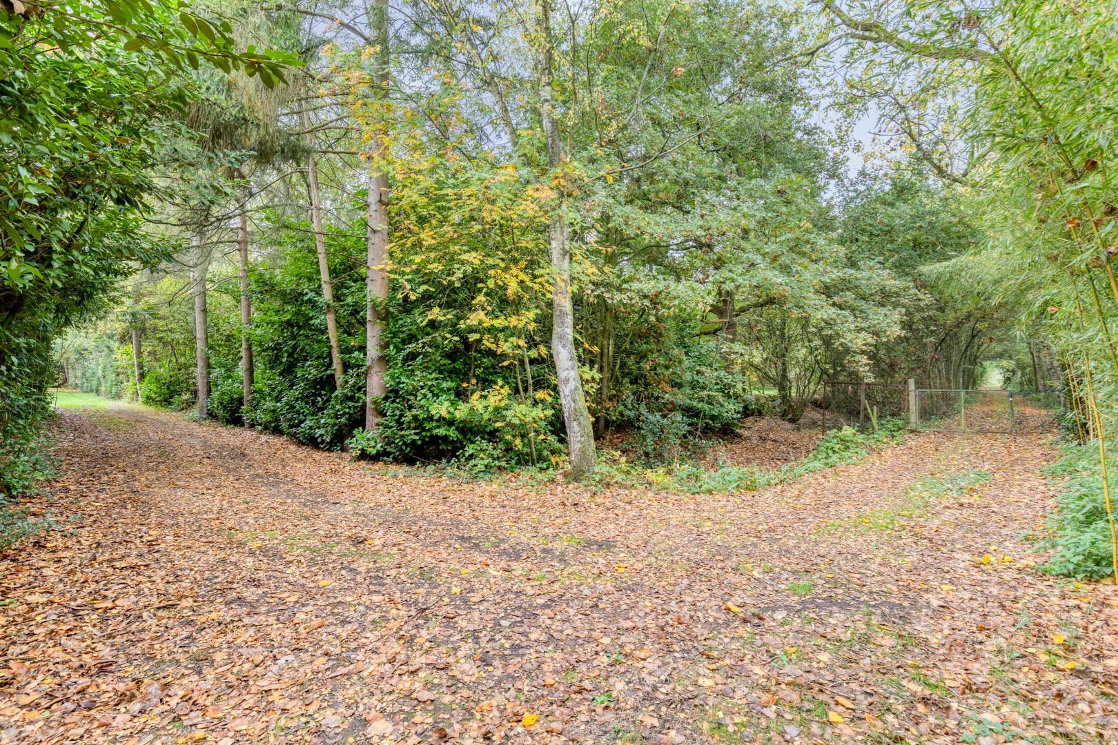 Uniek perceel van 2 ha. en 34 are met 3 prachtige vijvers 