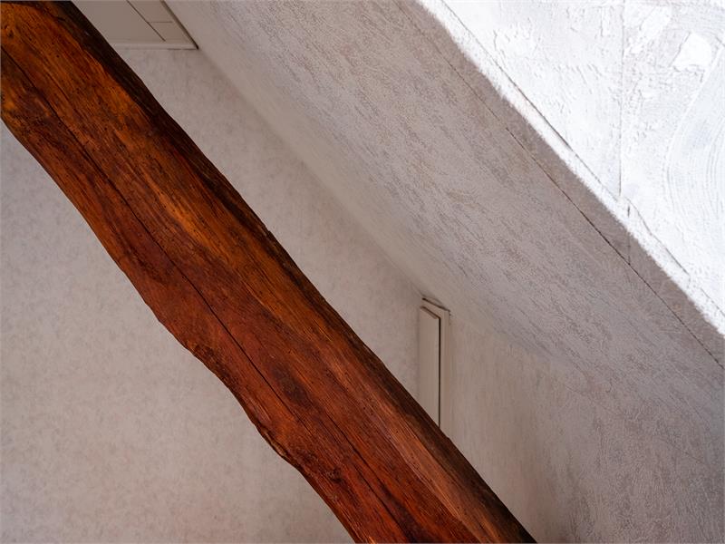 Ruime hoeve met grote schuur en veel potentieel. 