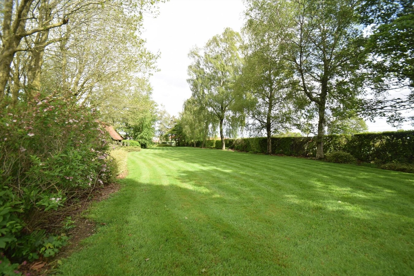 Authentieke hoeve op 3886 m² grond, landelijk gelegen met prachtige tuin. PAS VRIJ VANAF 15 JAN. 2026!! 