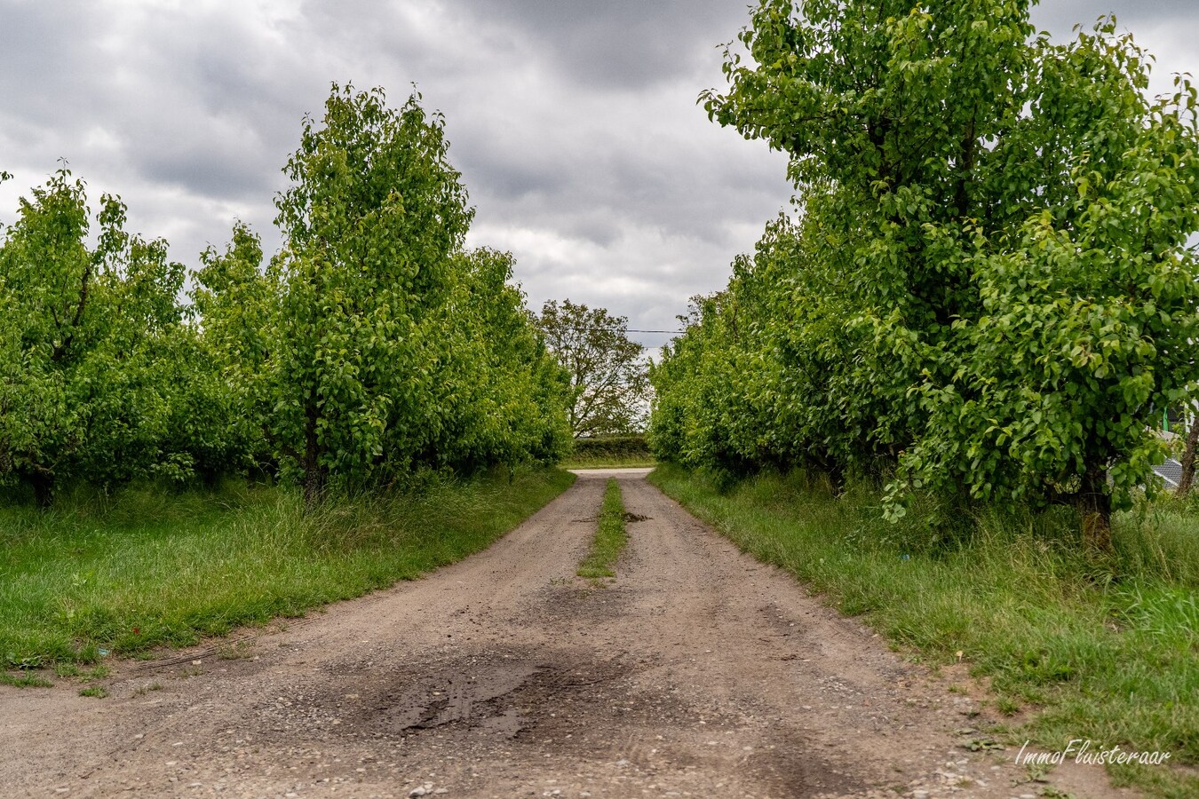 Landelijk gelegen bedrijfswoning met diverse bijgebouwen op ca. 3,5 ha te Bekkevoort (Vlaams-Brabant) 