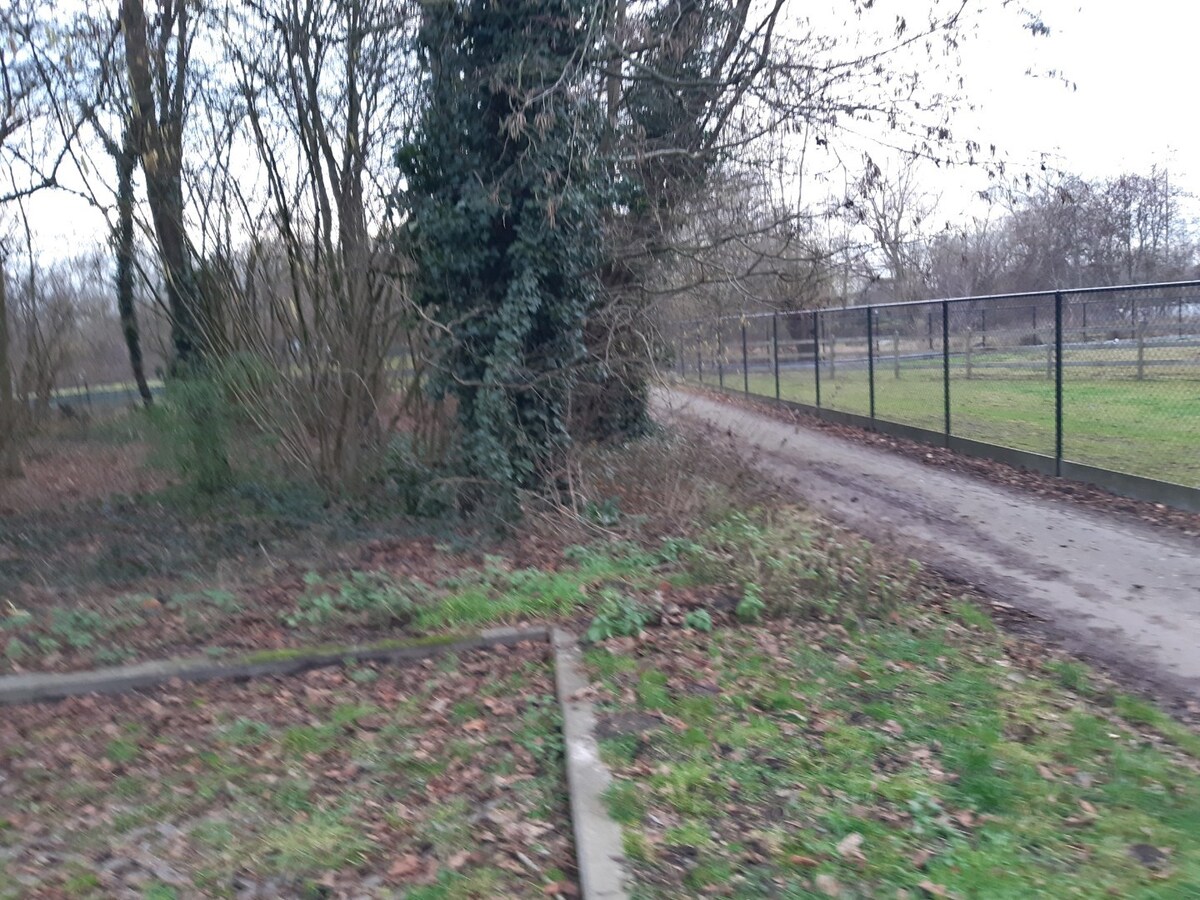 Gezellig 1 slpk-appartement / loft met terras. 