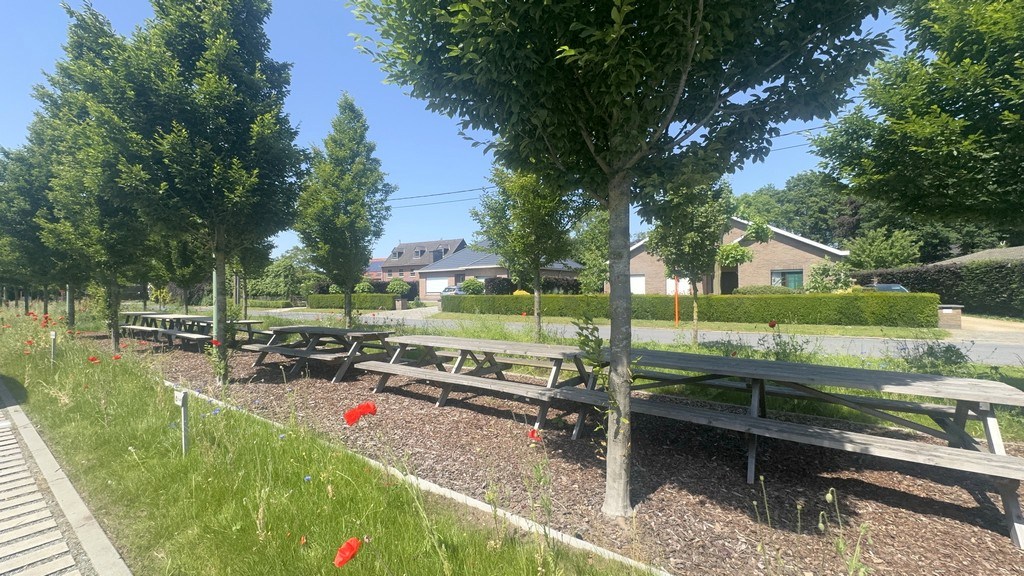 Energiezuinige kantoren te huur in Office Park aan E17 te Lokeren