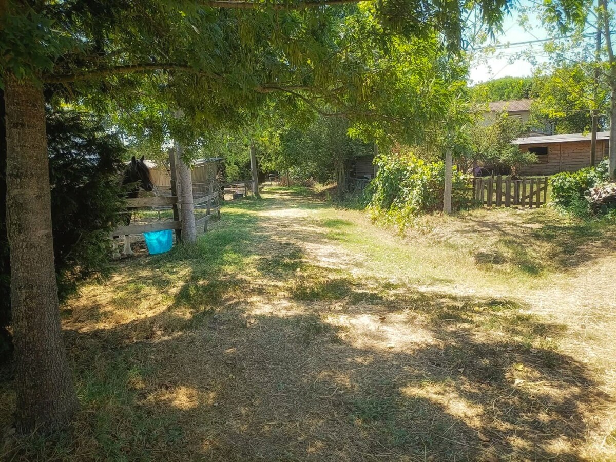 Landelijke hoeve met paardenfaciliteiten op ca. 1,3ha te Riva del Po (Noord-Italië) 