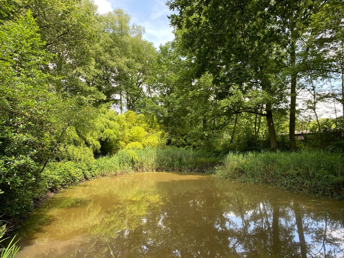 Te verkavelen grond van 6.140 m² met 64,20 meter langsheen de straat te Zoersel 