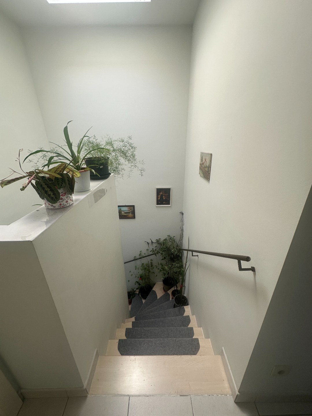 Lichtrijk en energiezuinig appartement (116 m²) met 2 slpk en groot terras, Torhout. 