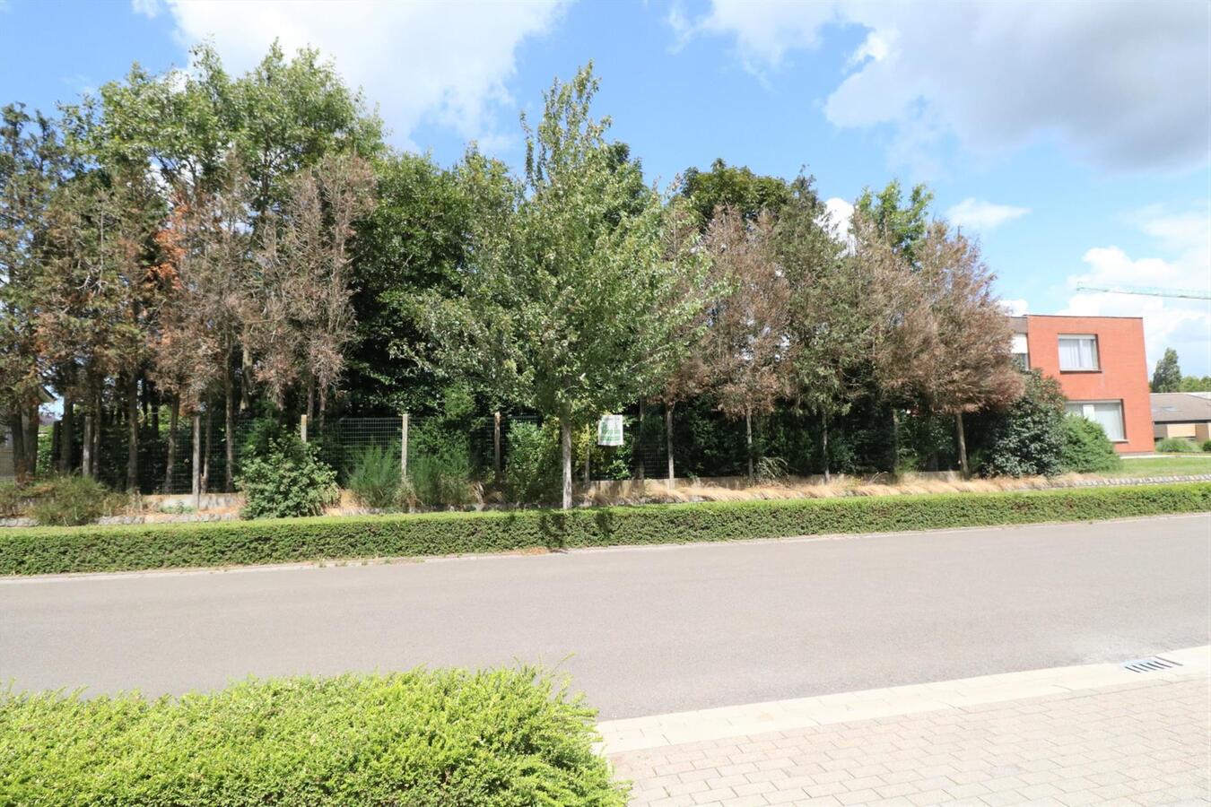 Woning met mogelijkheid tot commmerciële ruimte op 1398m² te Aartrijke 