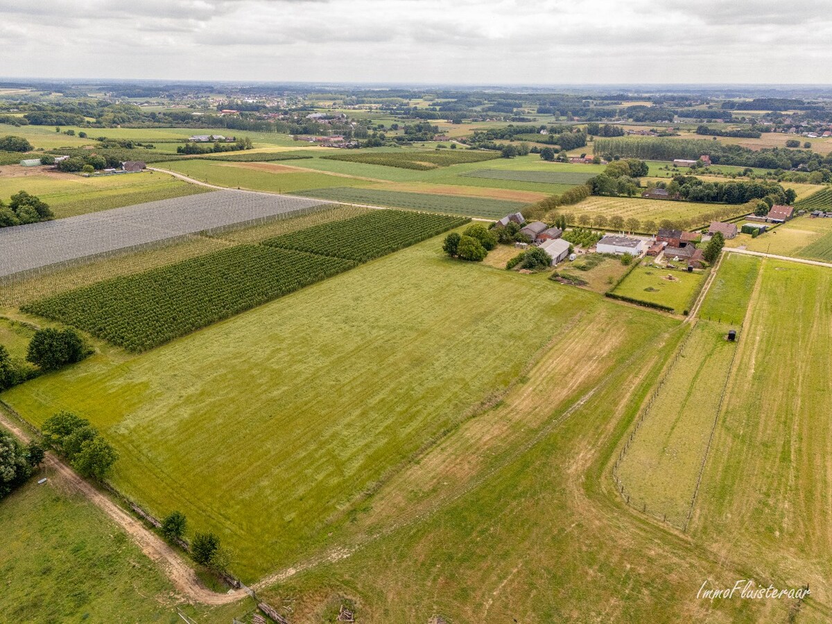 Landelijk gelegen bedrijfswoning met diverse bijgebouwen op ca. 3,5 ha te Bekkevoort (Vlaams-Brabant) 