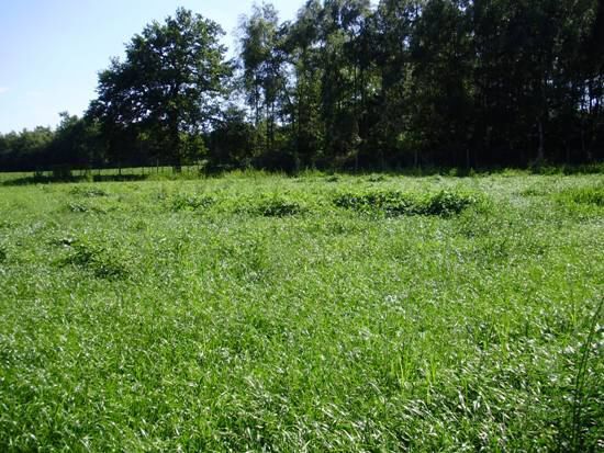 Farm sold in Turnhout