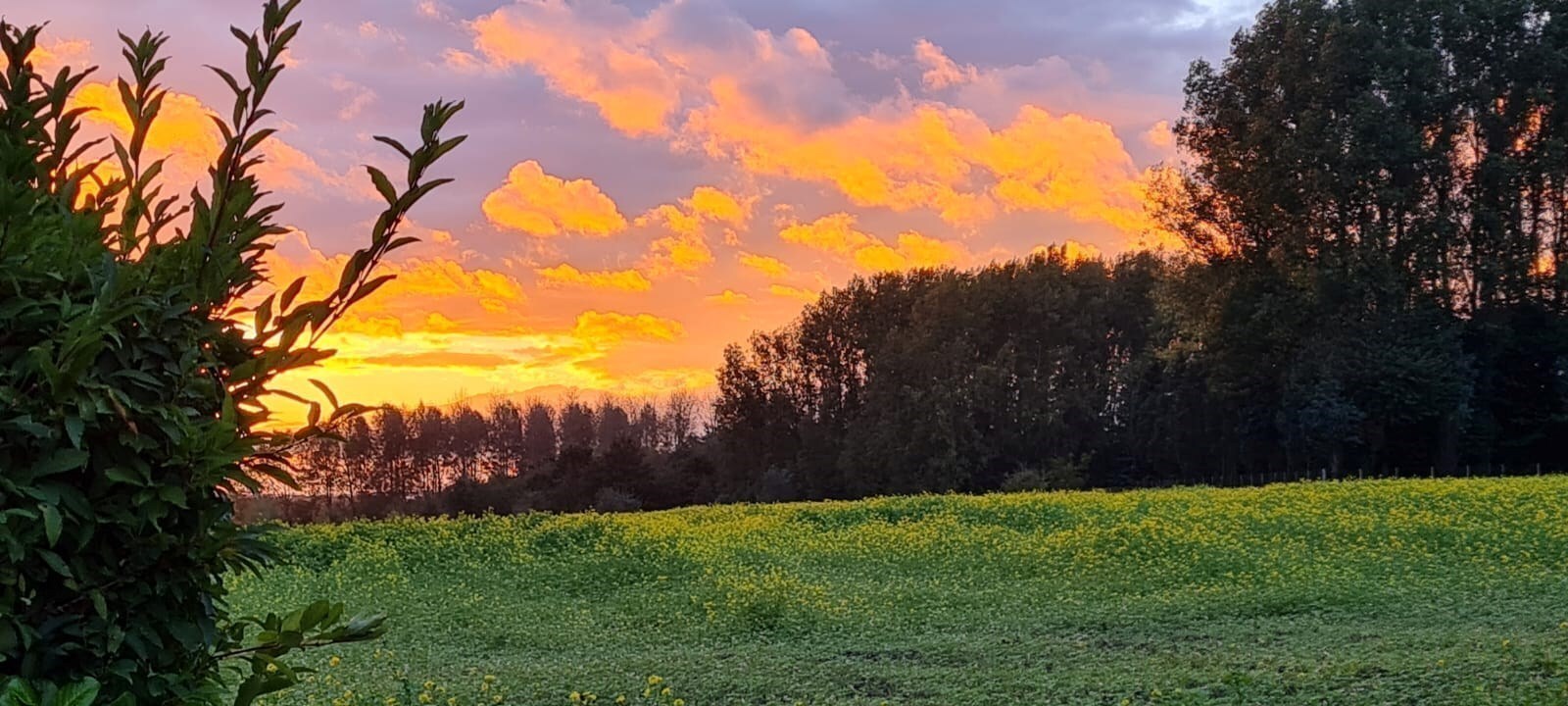Landelijk gelegen open bebouwing op een uitzonderlijk perceel (1585m²) 