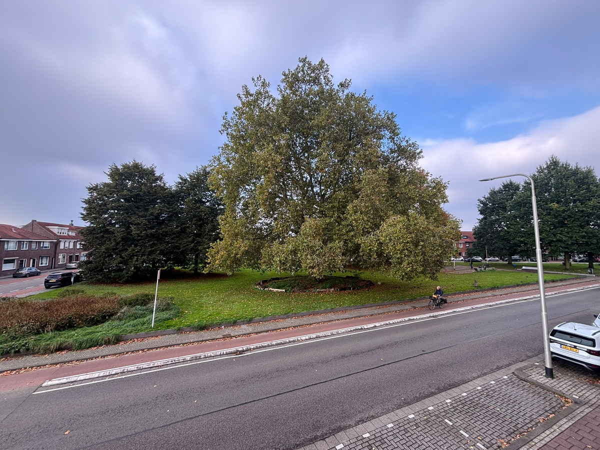 Transvaalplein 35A – Tilburg 