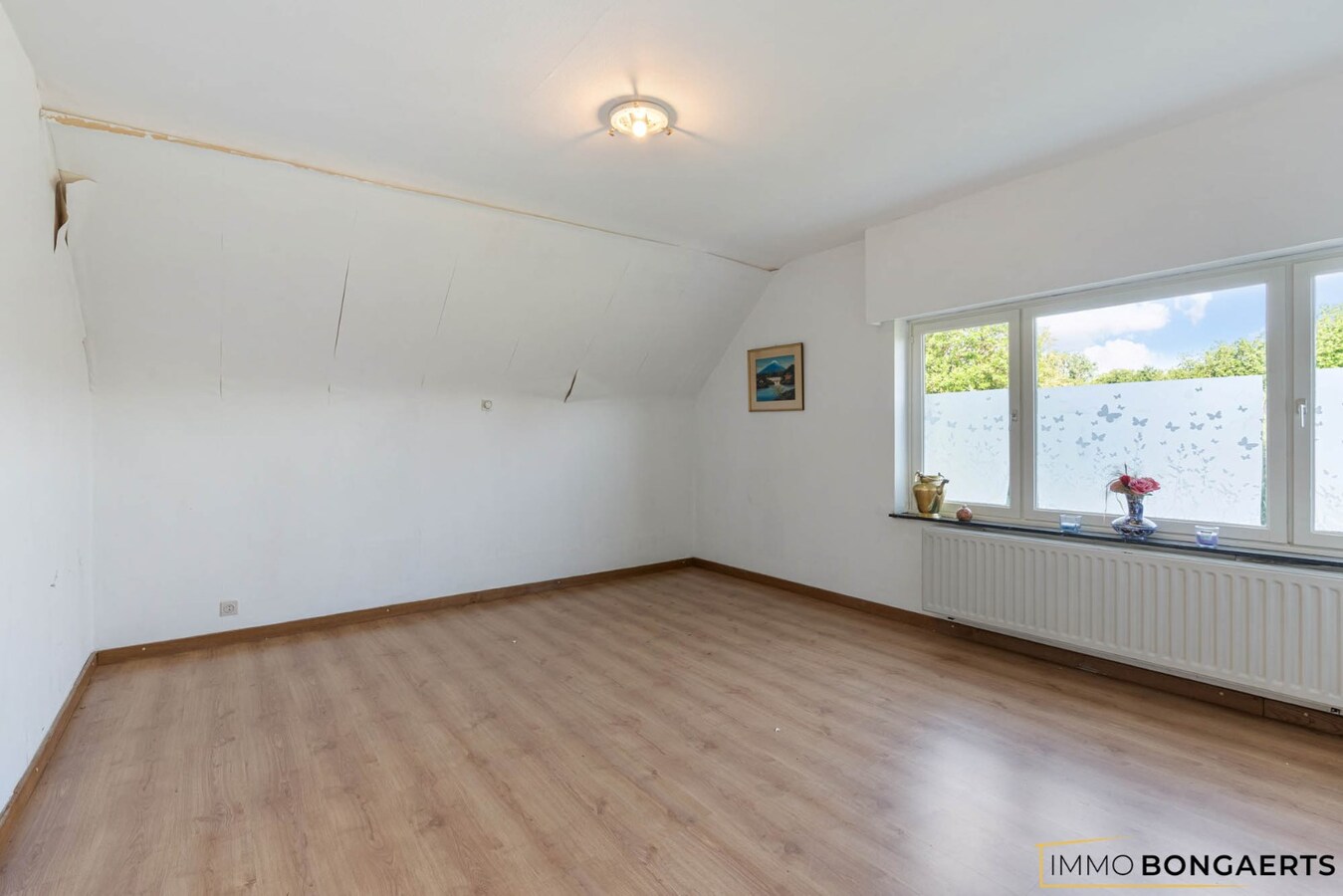 Rustig gelegen woning op een groot perceel 