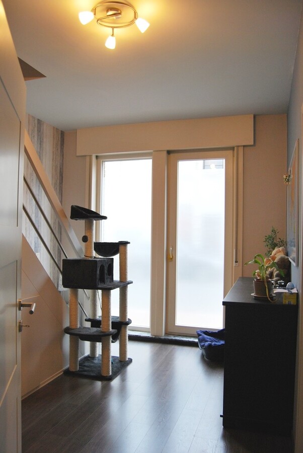 Instapklare woning met 2 stallen op ca.4000m² te Lebbeke 