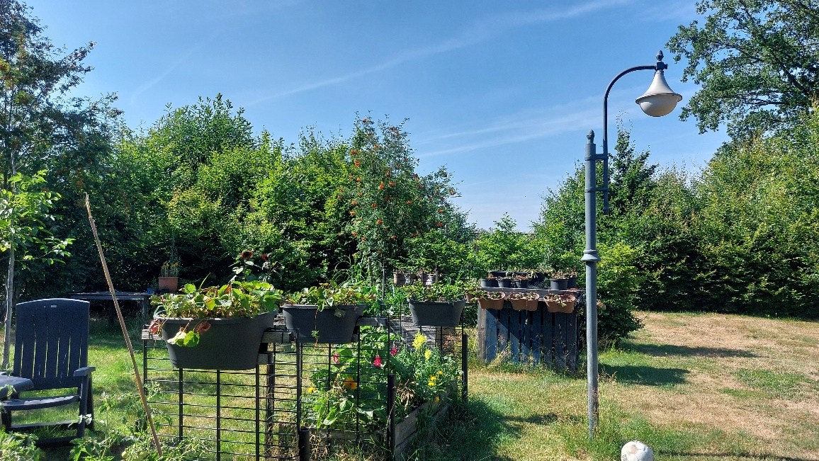 Bos te koop in Weert