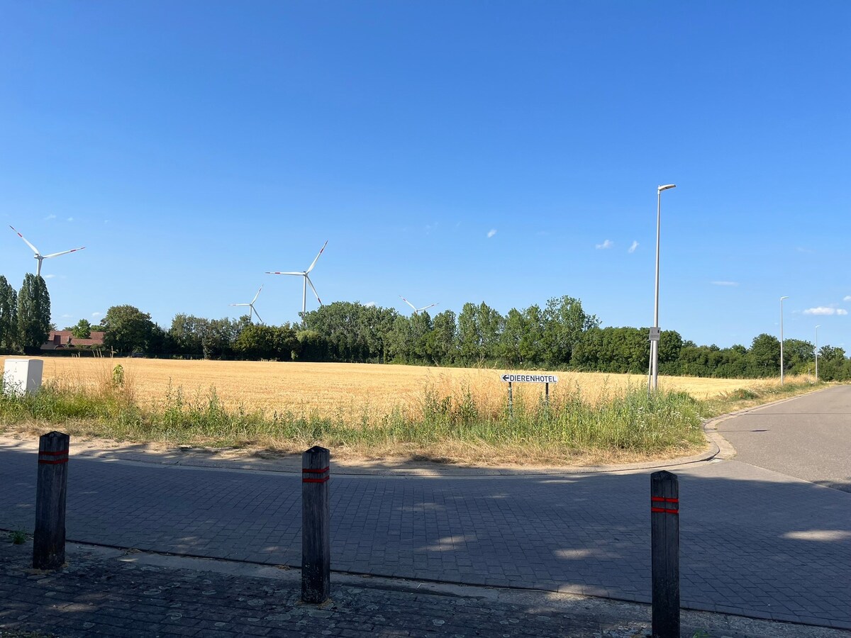 Boorsem: Perceel landbouwgrond 3ha 37a 61ca 