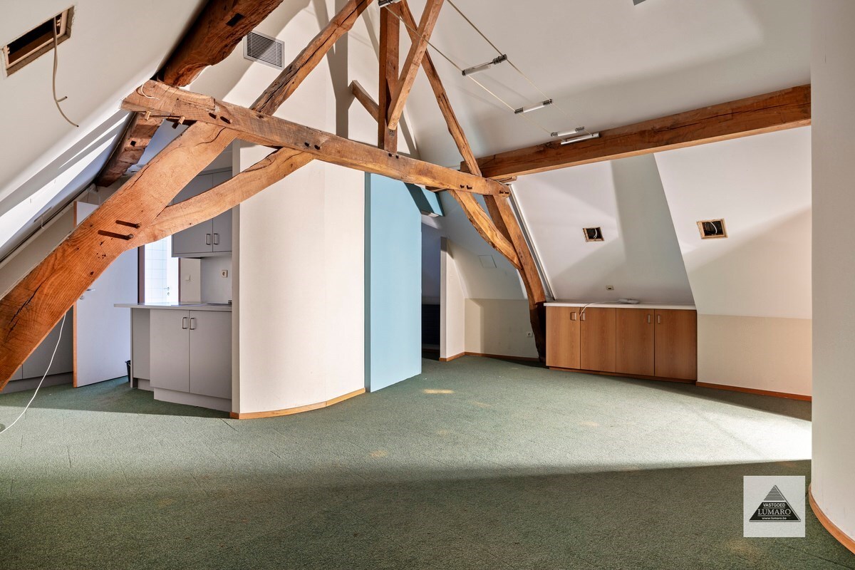 Burgerhuis 'Den Golden Naegel' - aan de Markt - lift - overdekte parking - IN PRIJS VERLAAGD! 