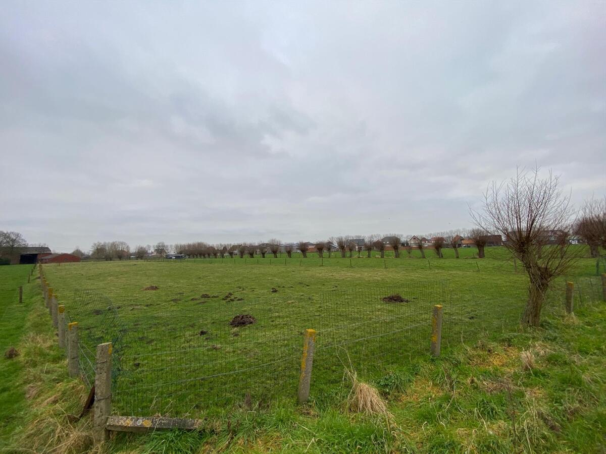 Stuk weiland te Roksem 