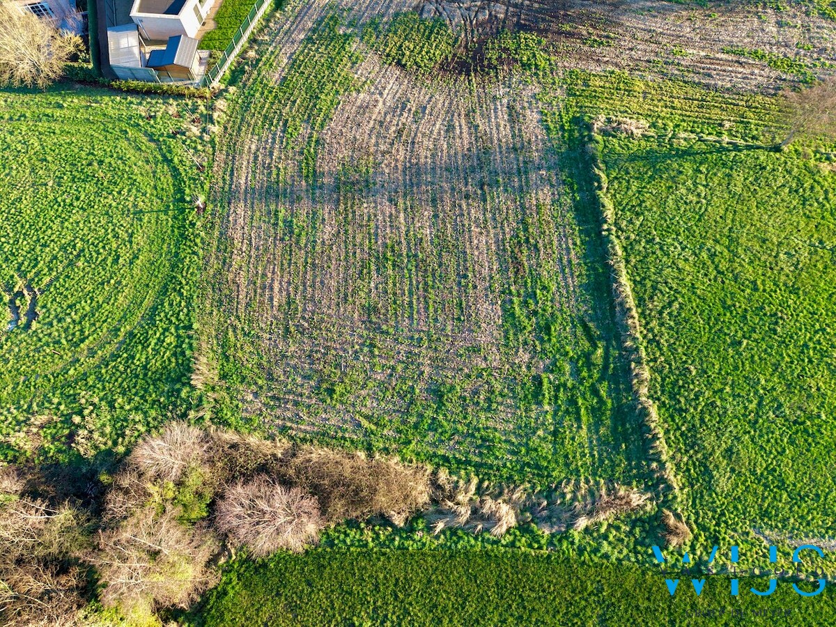 Projectgrond Rieme/Ertvelde 