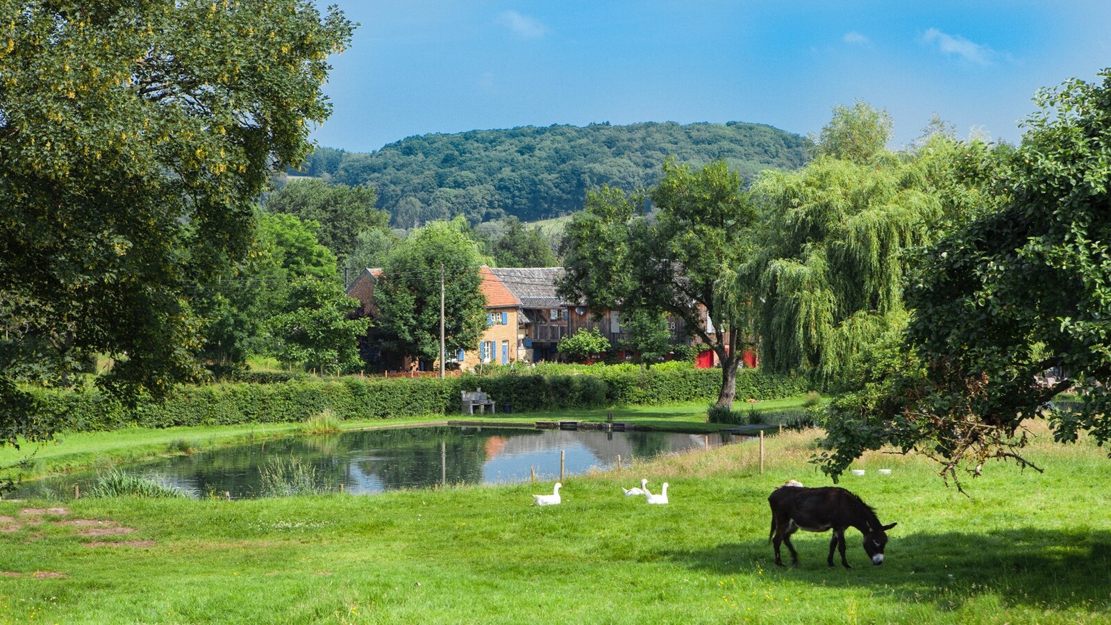 Verkocht woning - Sint-Martens-Voeren