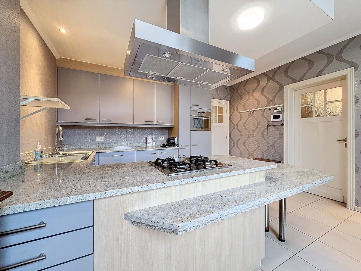 Statige woning met garage en ruime tuin te centrum Zottegem 