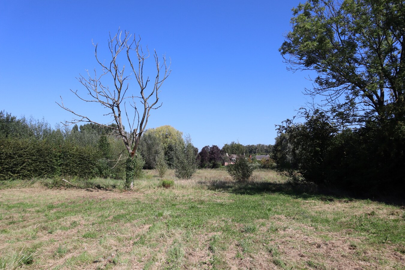 Bouwgrond Handelspand + Eengezinswoning 23 are 49 ca 