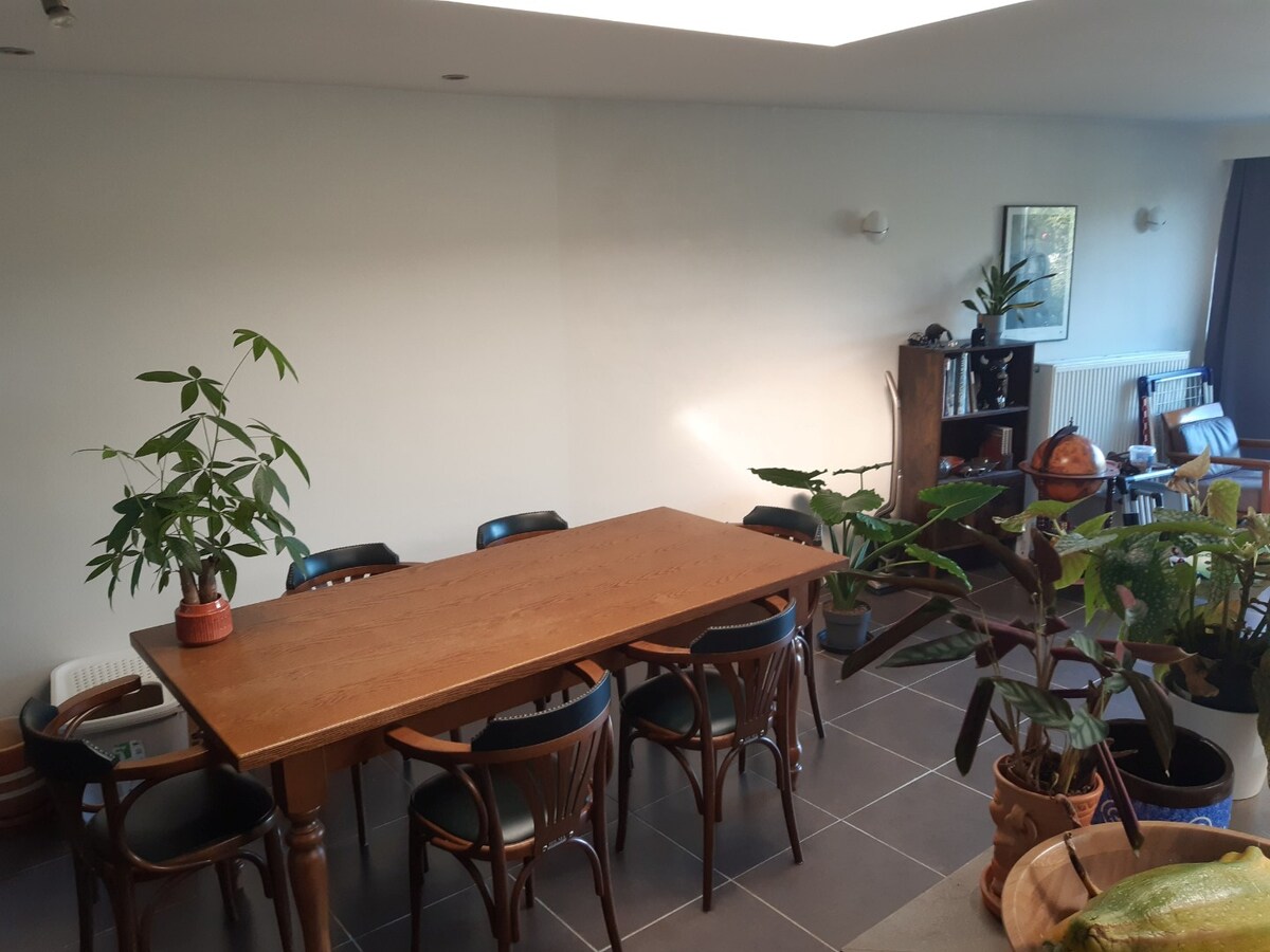 Gezellige woning met garage, tuintje én met uitzicht op de Schelde! 