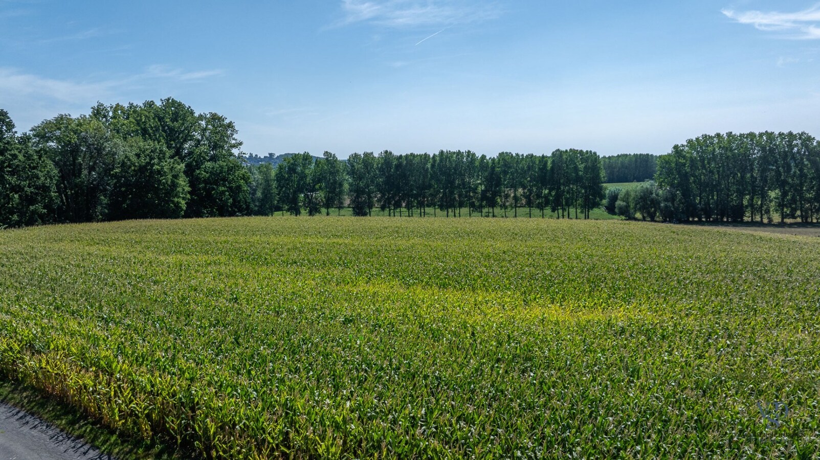 Exceptioneel gelegen bouw- en landbouwgrond te Michelbeke. 