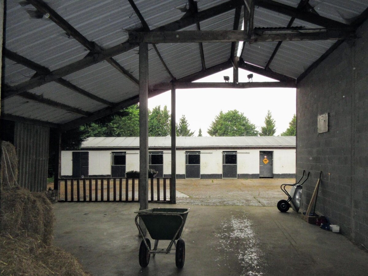Paardenaccommodatie met 46 stallen, buitenpiste en hangaar op ca. 55 are te Linkhout (Lummen) 