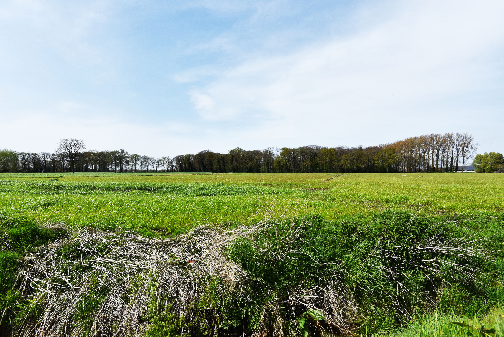 Nieuwbouw appartement met 1 slaapkamer, terras en tuin te Lembeke-Dorp 