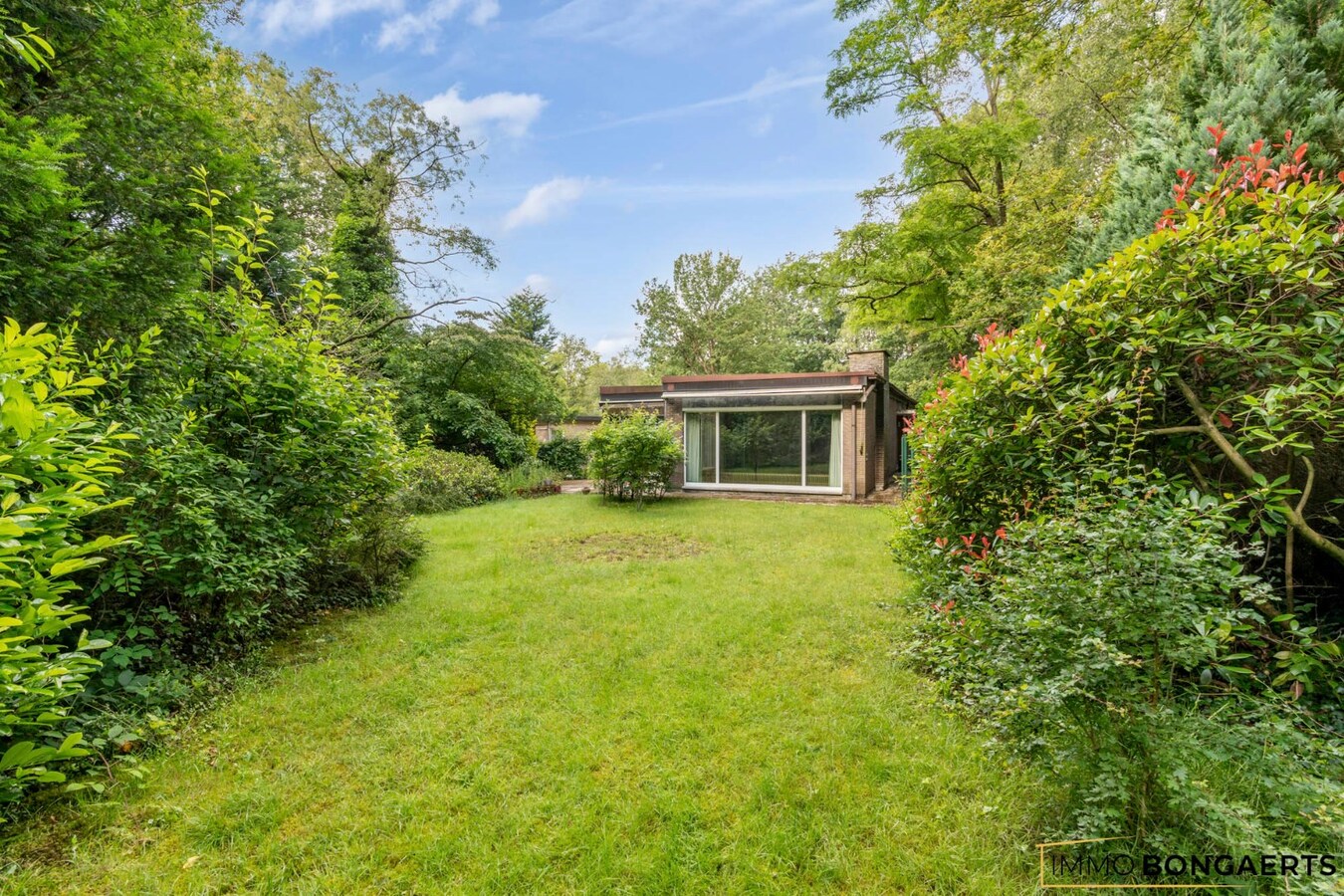 Ruime te renoveren woning op een mooi perceel. 