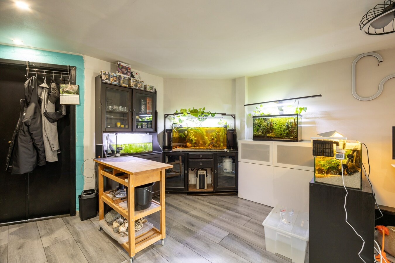 Charmante woning met tuin en garage te Hemiksem! 