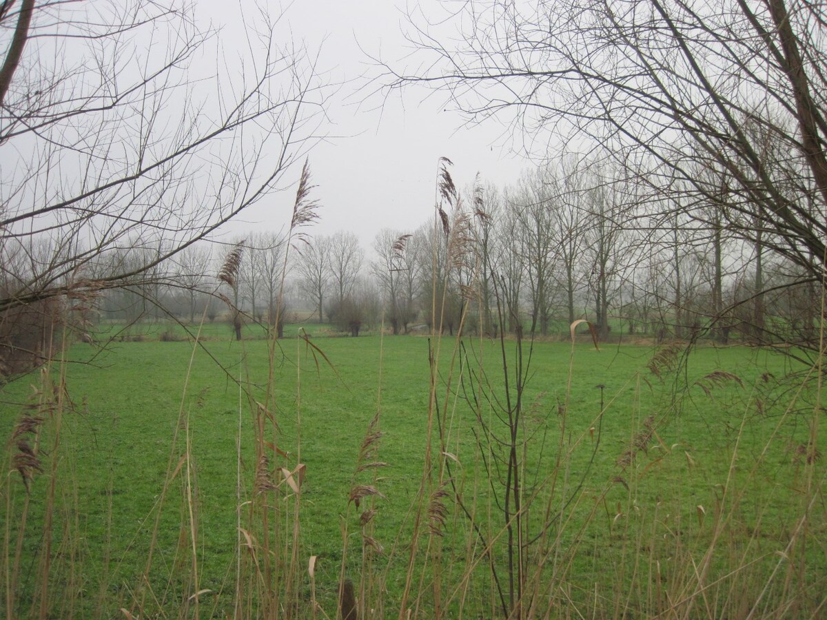 Aangenaam wonen in Semmerzake 