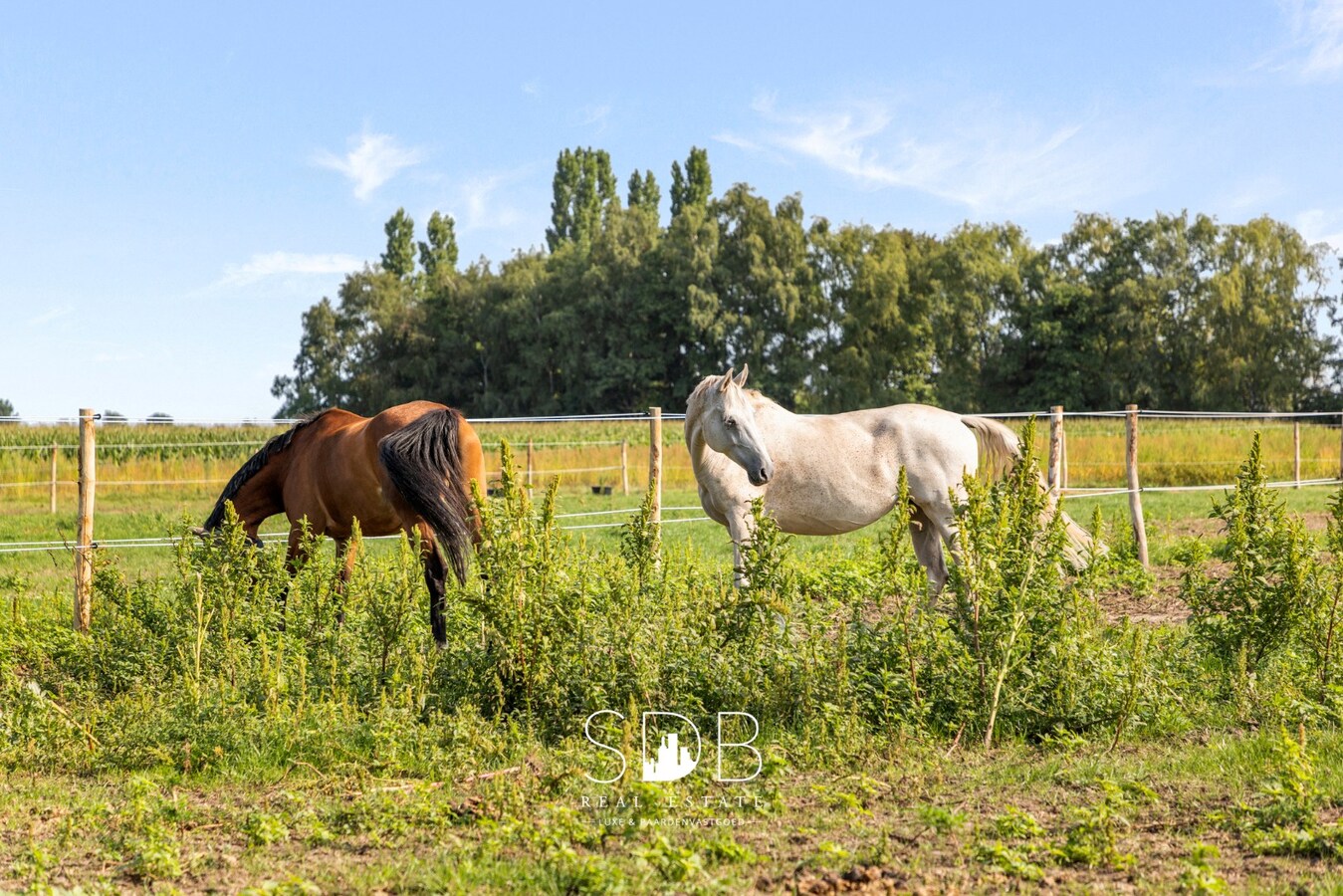 Boerderij met paardenfaciliteiten en graslanden op 14.490m² 
