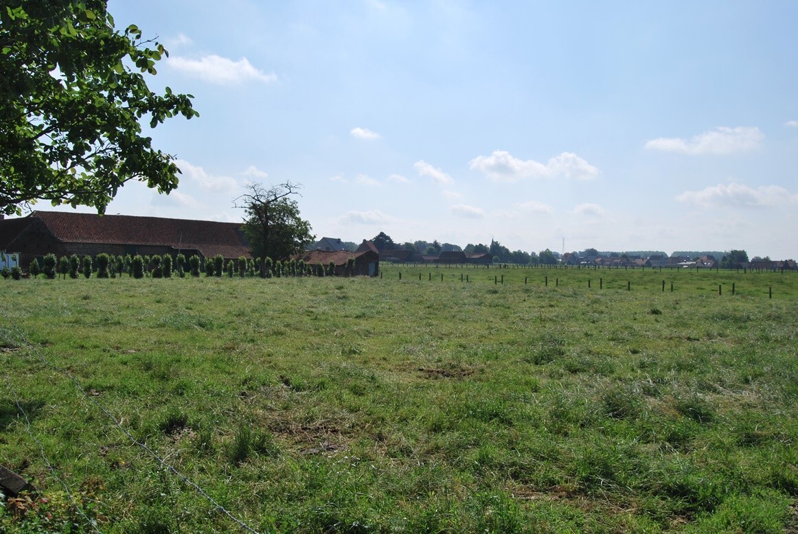 Te renoveren hoeve met stallingen op 9.333m² (+ev. 5ha) te Deinze 