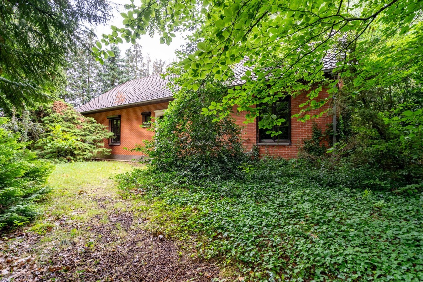 Woning op zeer rustig gelegen en ruim perceel. 