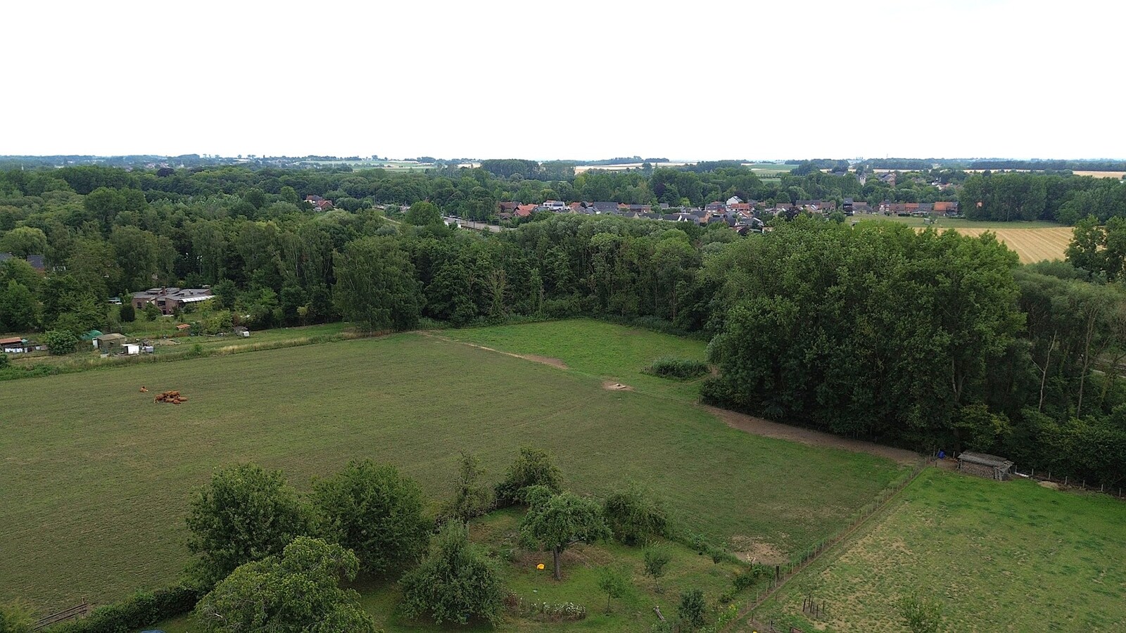 Bouwgrond OPEN BEBOUWING te Boutersem 