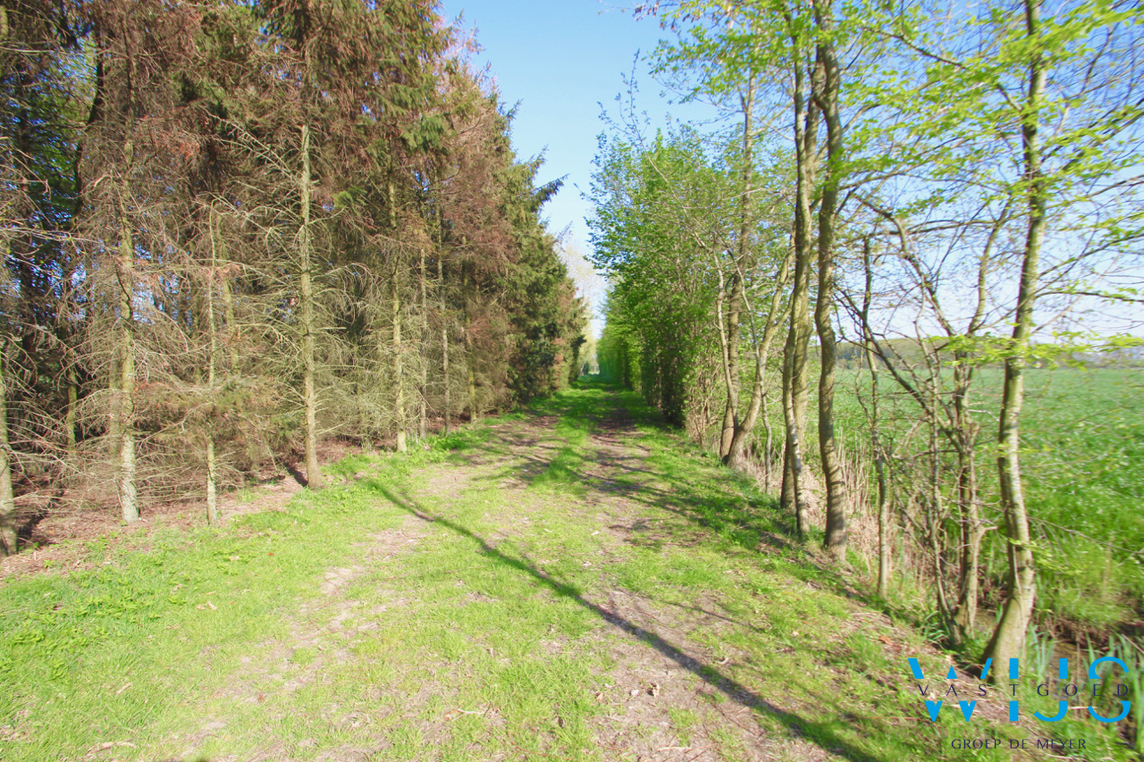 Fenomenaal gelegen Hoeve met bijgebouwen te Assenede ! 