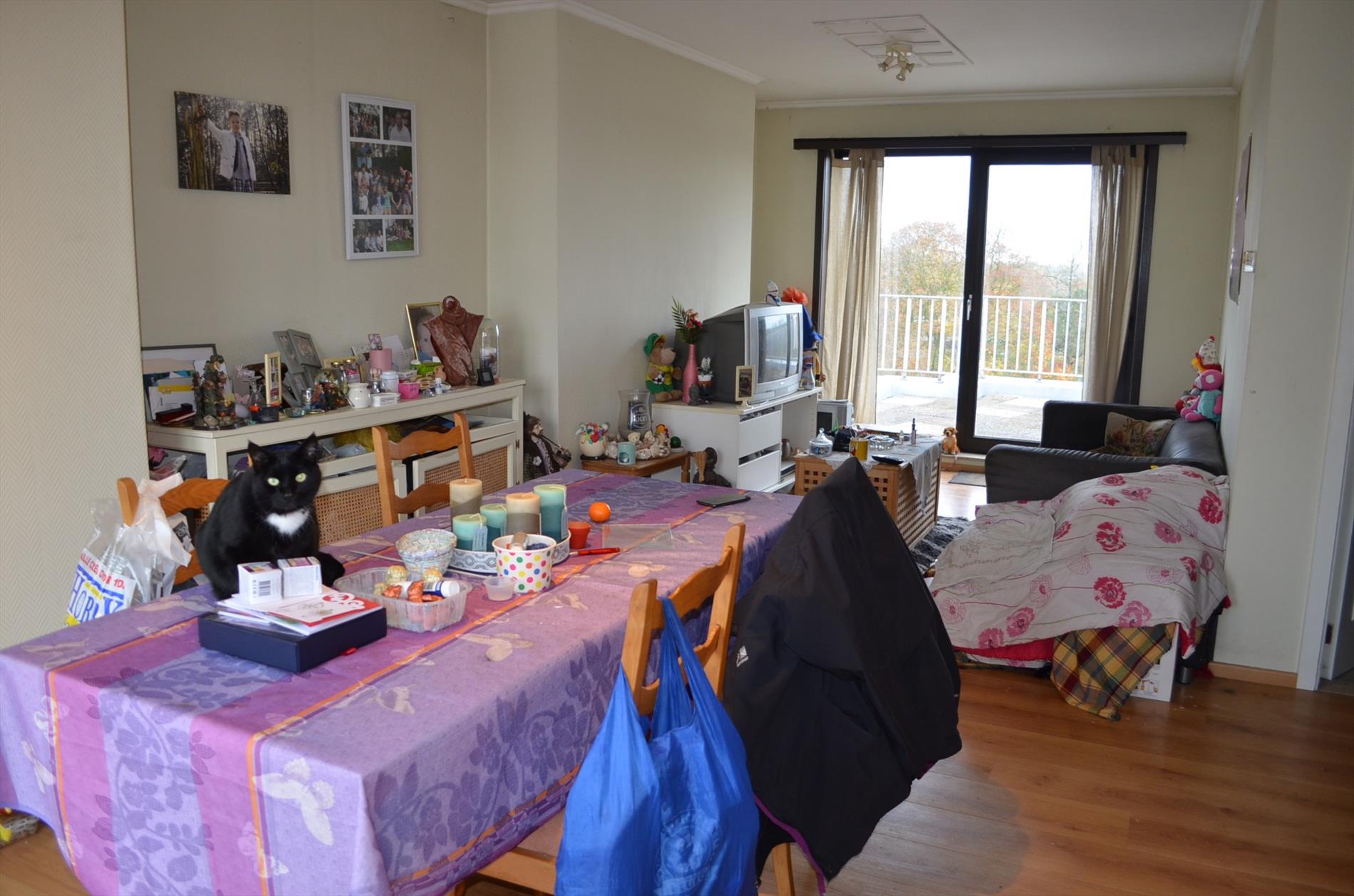 Dakappartement met  1 slpk en 2 terrassen  te centrum Eeklo 