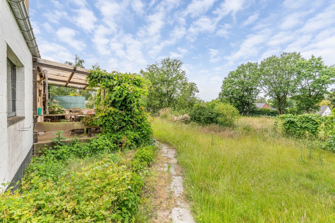 Uniek gelegen woning aan de bosrand op een perceel van 36a67ca waarvan 22a82ca geschikt is als paardenweide! 
