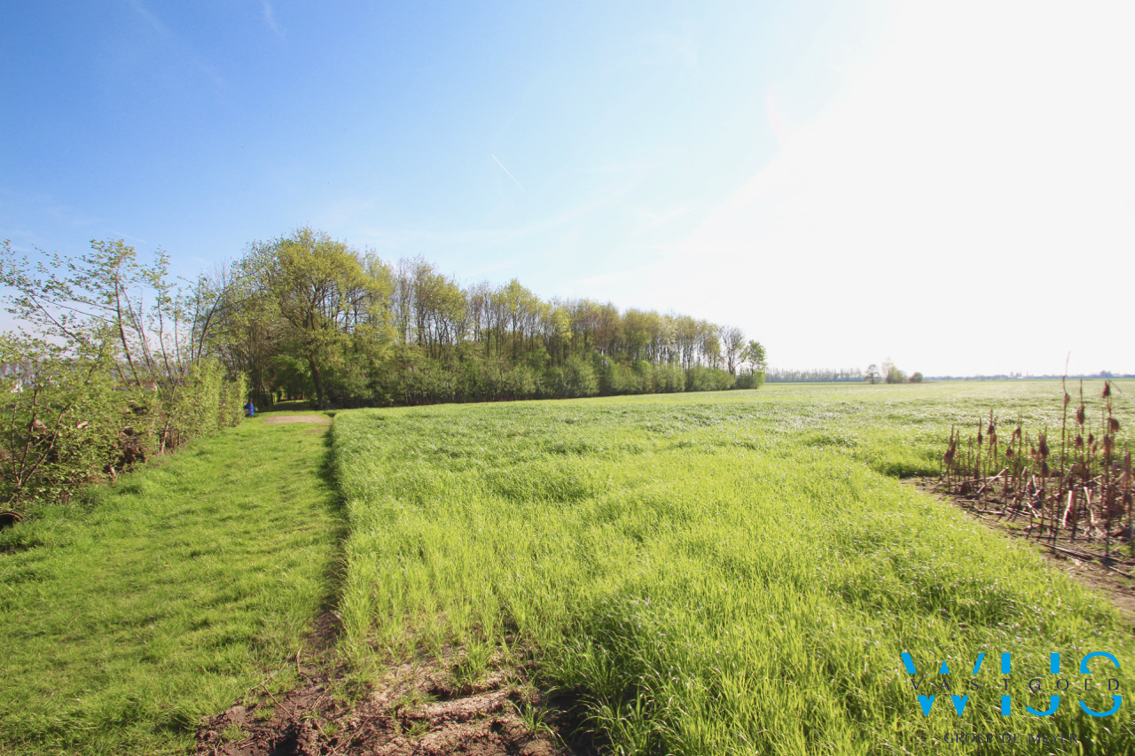 Fenomenaal gelegen Hoeve met bijgebouwen te Assenede ! 