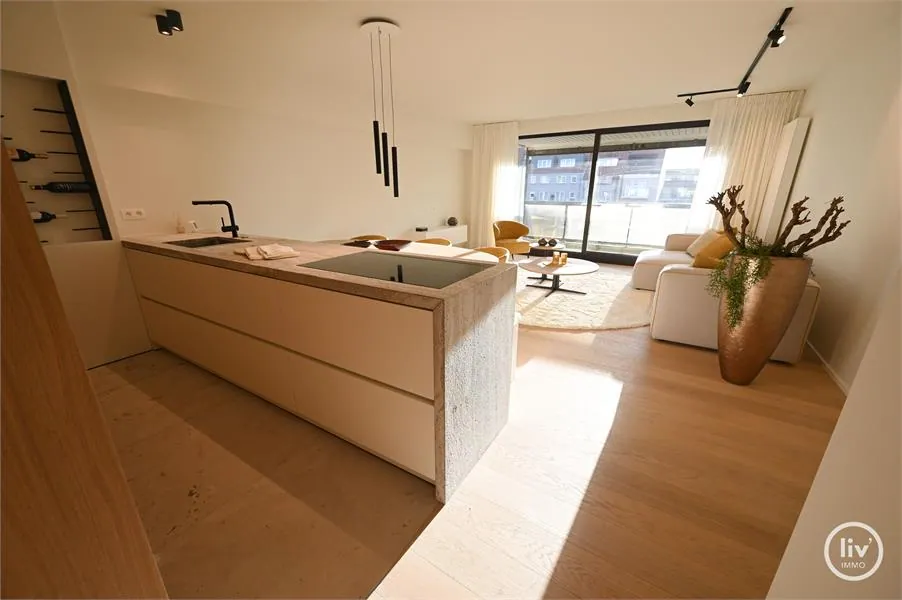 Appartement rénové et spacieux très bien situé avec une belle vue ouverte sur le ijzerpark, près de l'av. Dumortier et la digue.