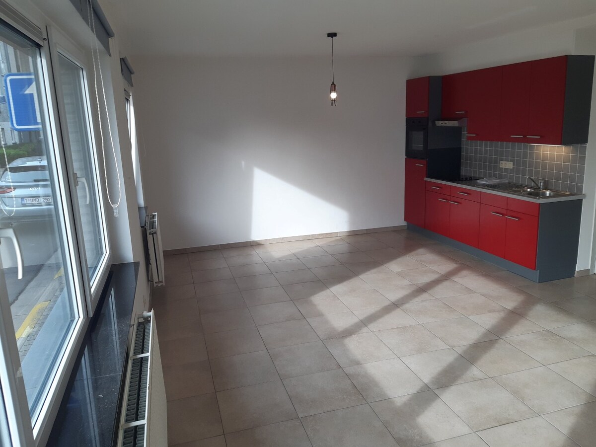 Lichtrijk 2 slpk-appartement te Oudenaarde. 