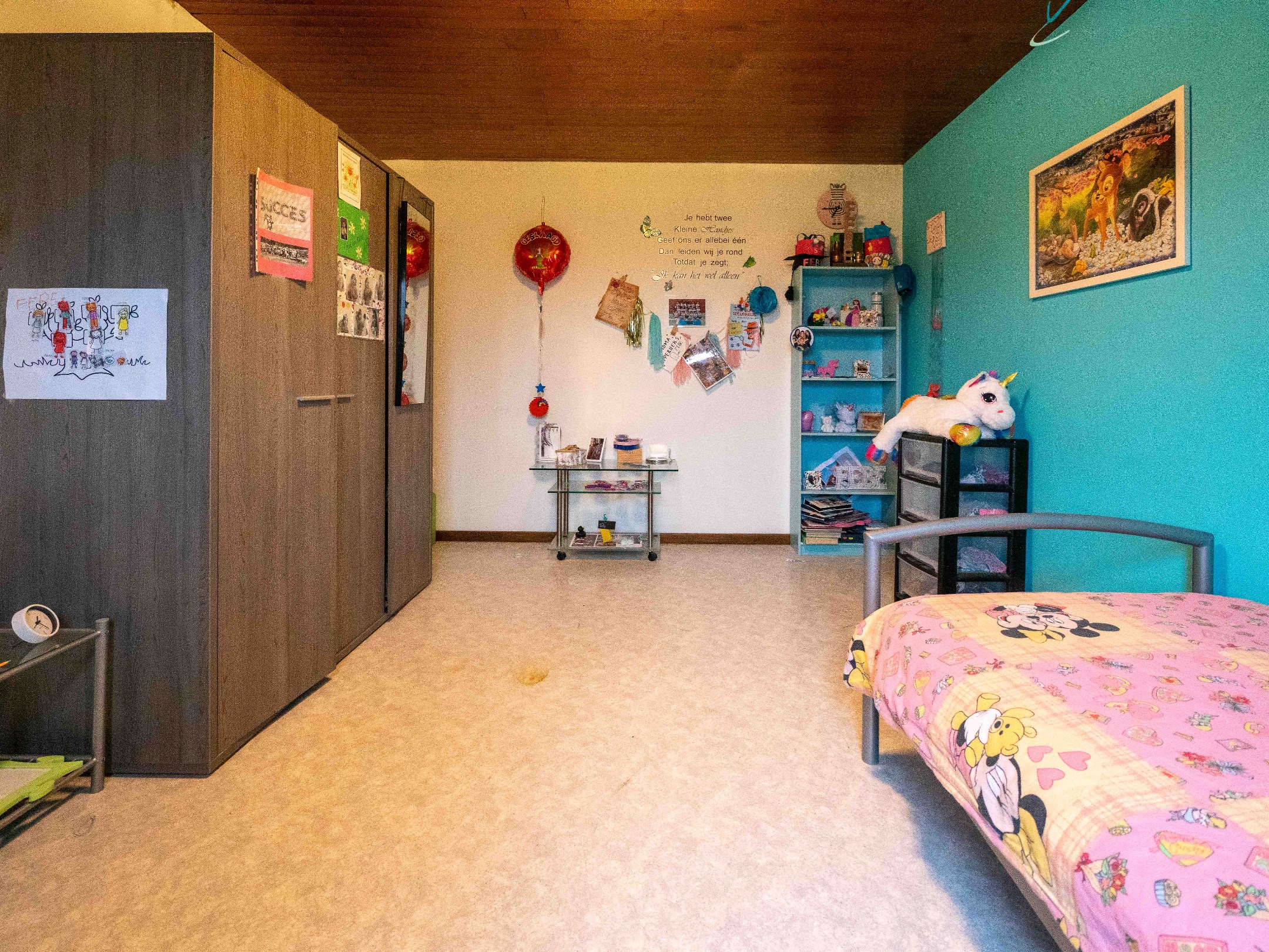 Eengezinswoning met 3 kamers, garage en tuin 