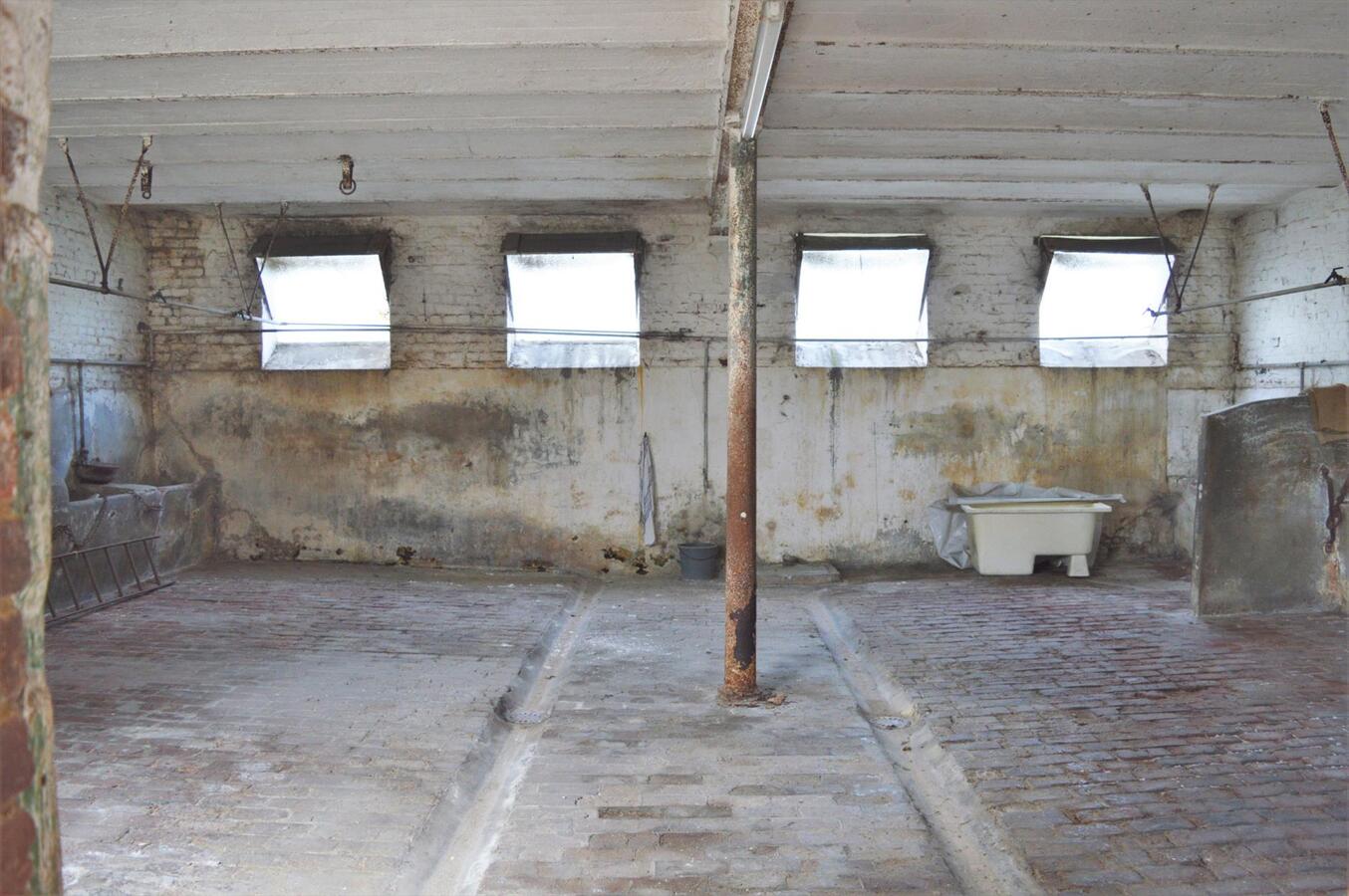 Herenhuis met stallingen op 2.726m² te Lessen (mogelijkheid tot 1ha extra weiland) 