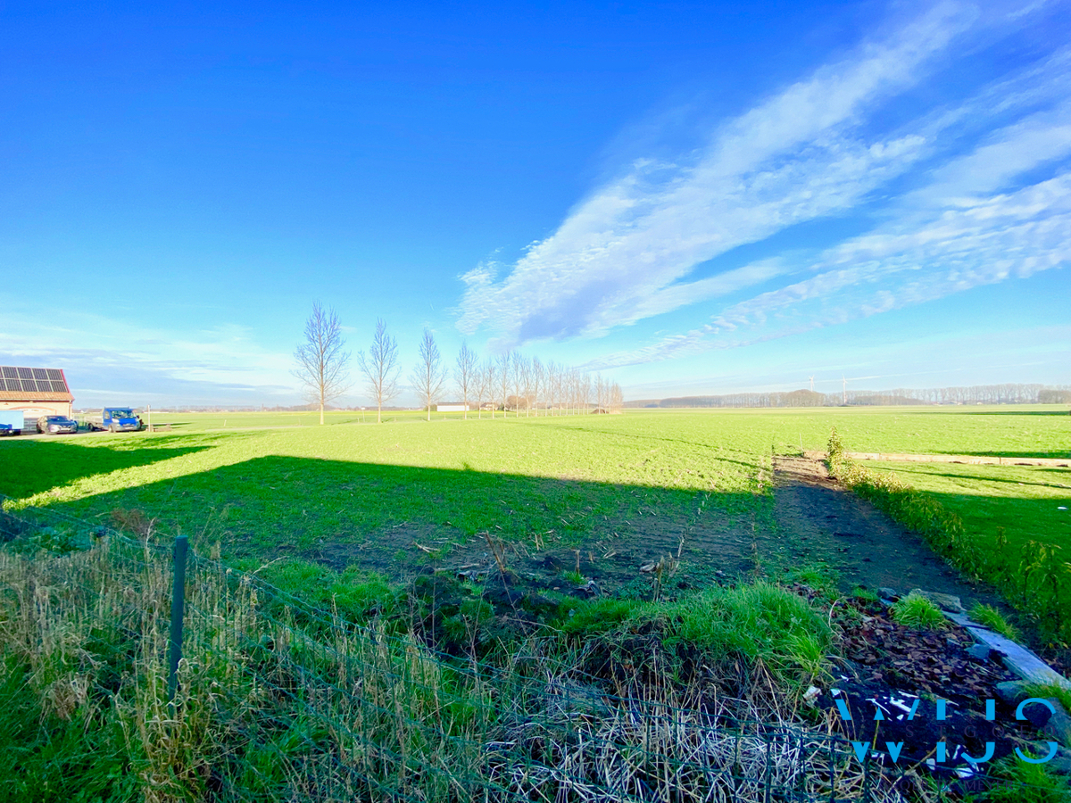 Open bebouwing te Assenede ! 