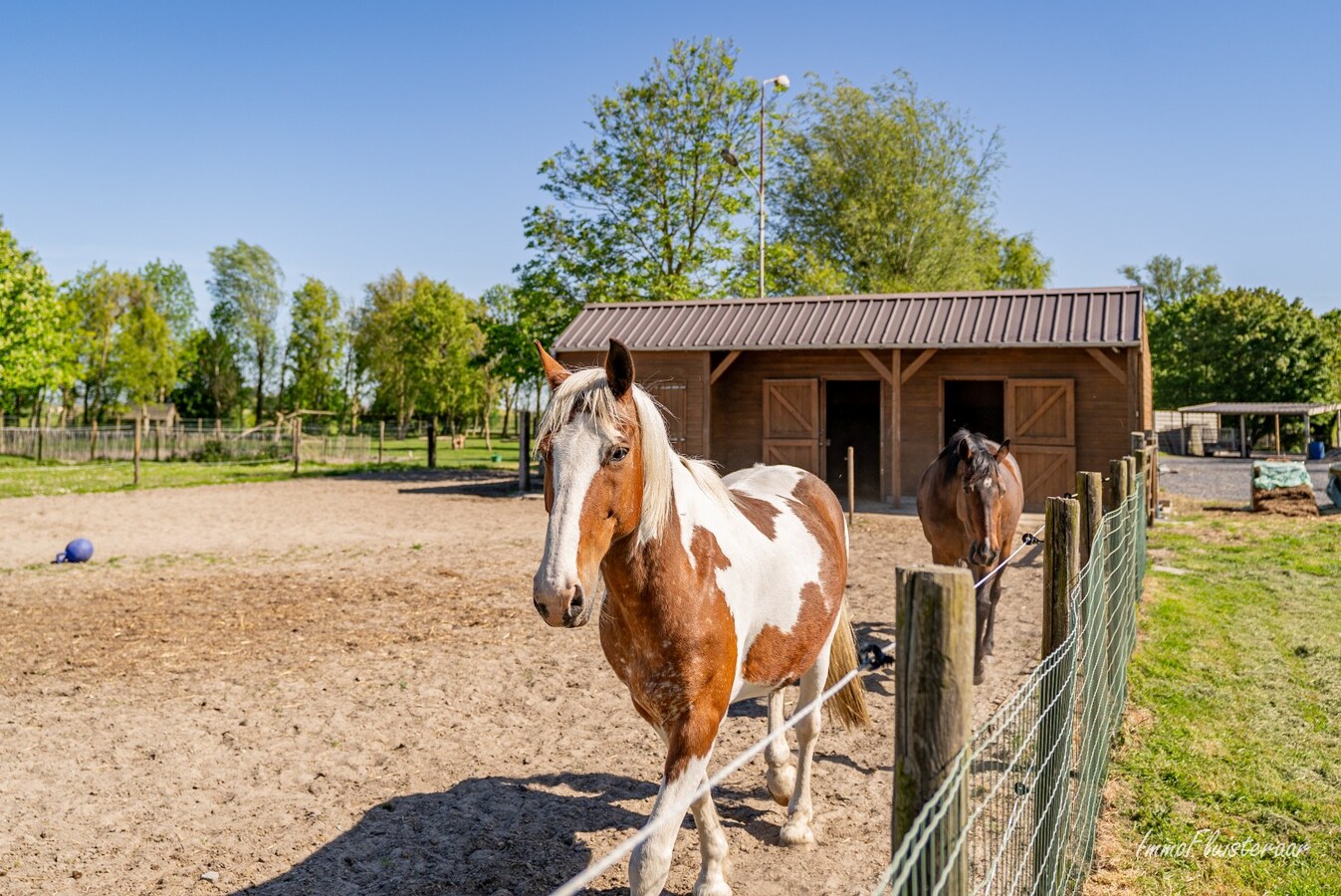 Magnifique domaine avec une villa neuve et un chenil et une pension pour chats agréés à Diksmuide 