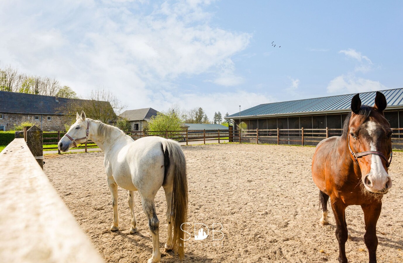 Hippische Complex met woonhuis en appartement op circa 31 Hectare 