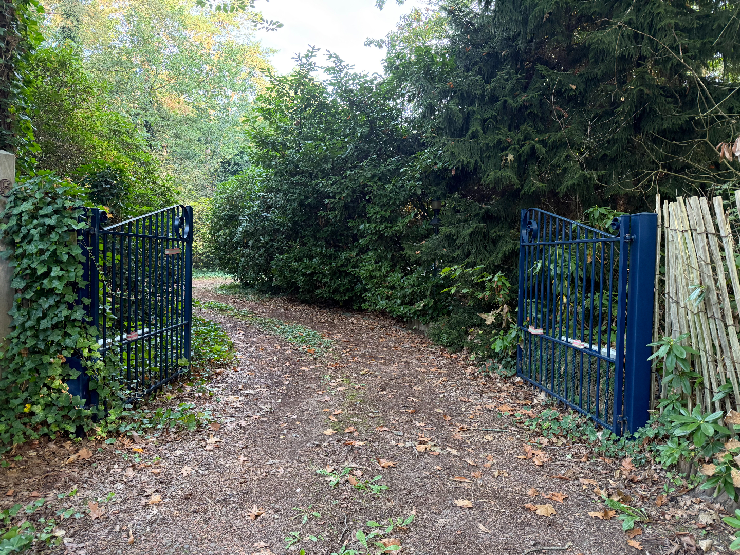 Rustig wonen midden in de bossen op een perceel van 2.005 m² in Schilde 
