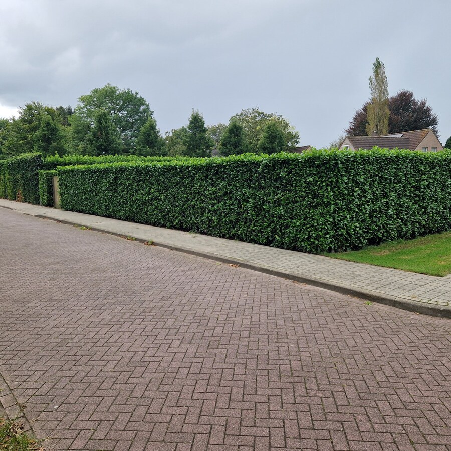 2 bouwkavels te koop voor de bouw van 2 halfvrijstaande levensloopbestendige woningen met vrij uitzicht over landerijen. 