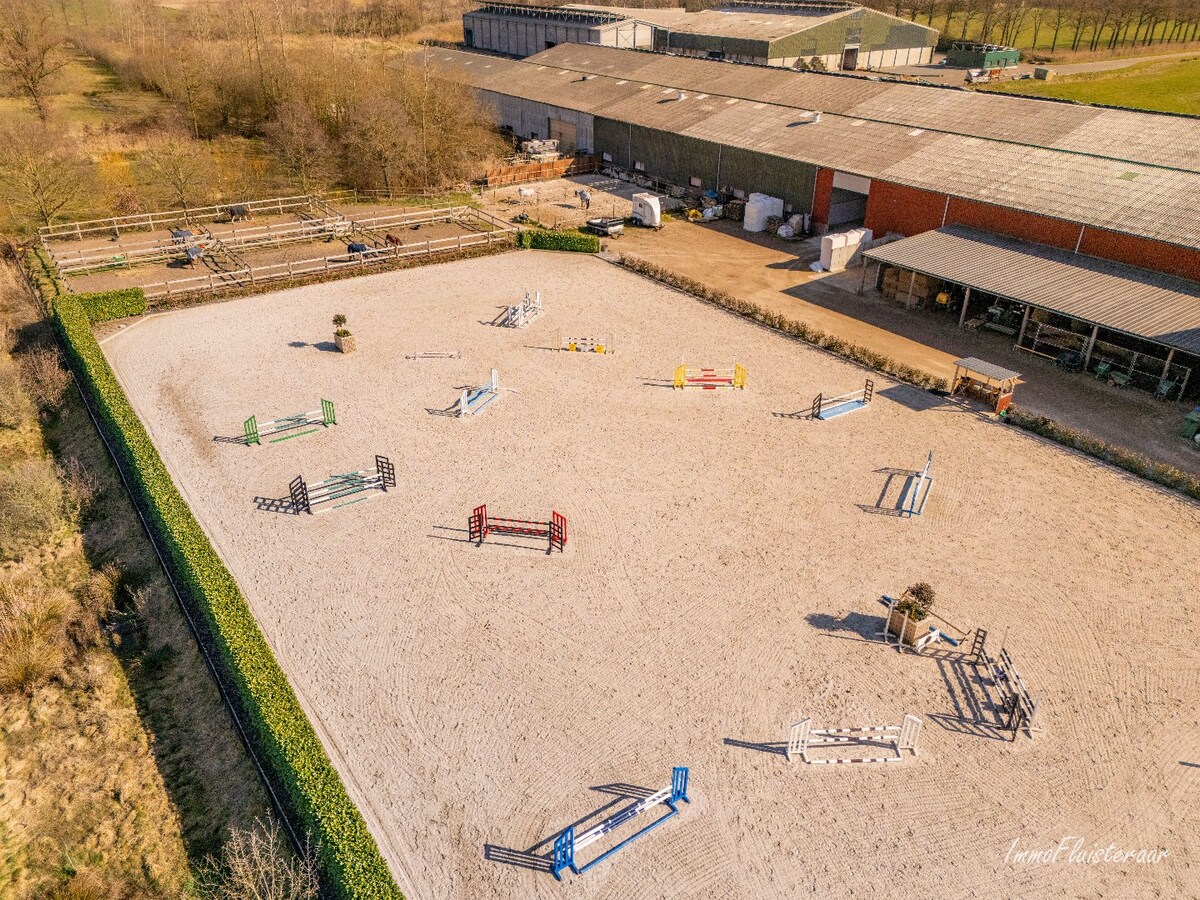 Complete paardenaccommodatie met studio op ca. 1,1ha te Bree 