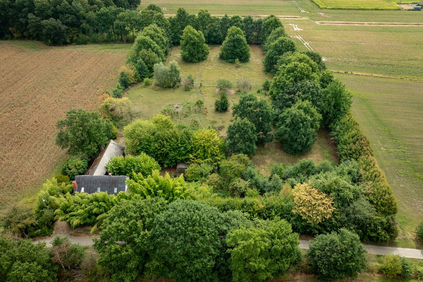 Karaktervolle hoeve met weides op ca. 2ha te Herk-de-Stad 